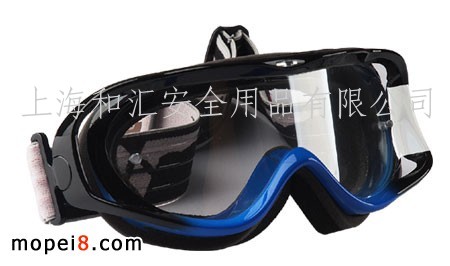 Ħ܇LR CROSS GOGGLES