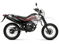 Yamaha 2013' XTZ125XEfD (8)