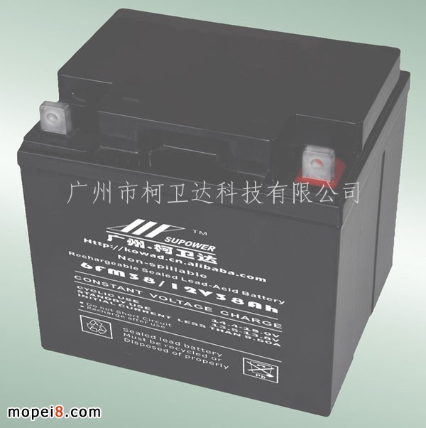 12V38AhU늳 ܷ늳VRLA BATTERY