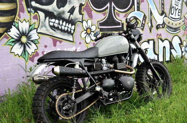 Triumph Swamp Scrambler Ħ܇b