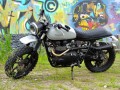 Triumph Swamp Scrambler Ħ܇b