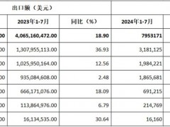 2024年前七月：中國摩托車出口漲勢穩(wěn)定，拉丁美洲成最大增長點(diǎn)